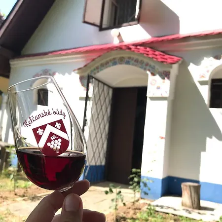 Vinny Sklipek Stary Vinar Apartment *